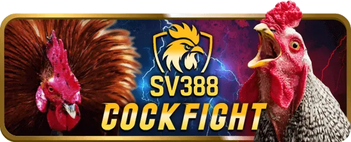 Chiến lược chơi tk88bet casino, thể thao, nổ hũ, bắn cá, đá gà
